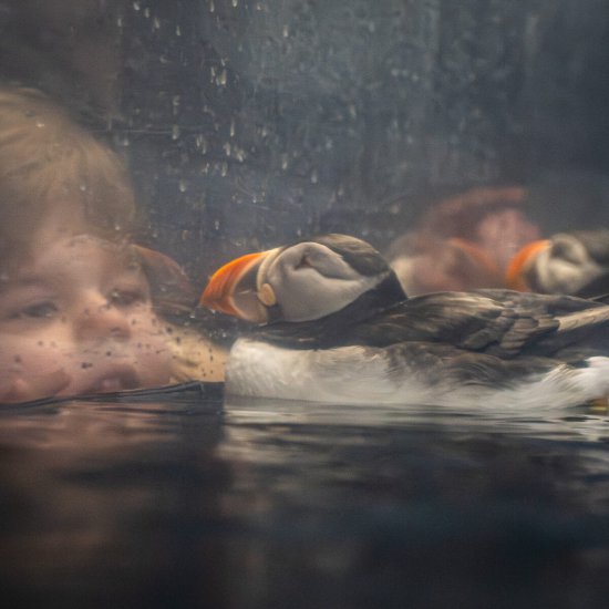 Auf Augenhöhe © Barbara Wünsche