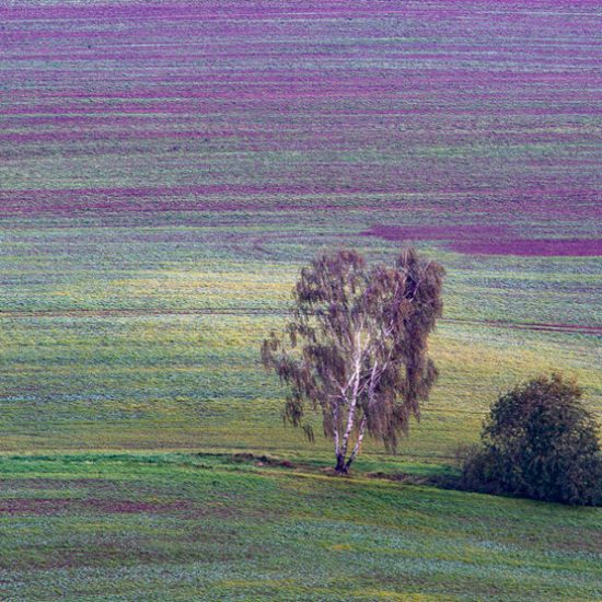 Landwirtschaft © Bernd Franzen