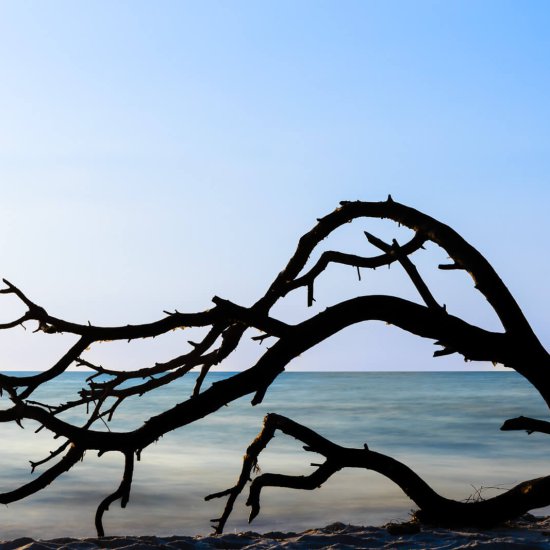 Strandgut © Connie Kluge