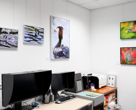 VFkB-Kunstnachtausstellung2021-10